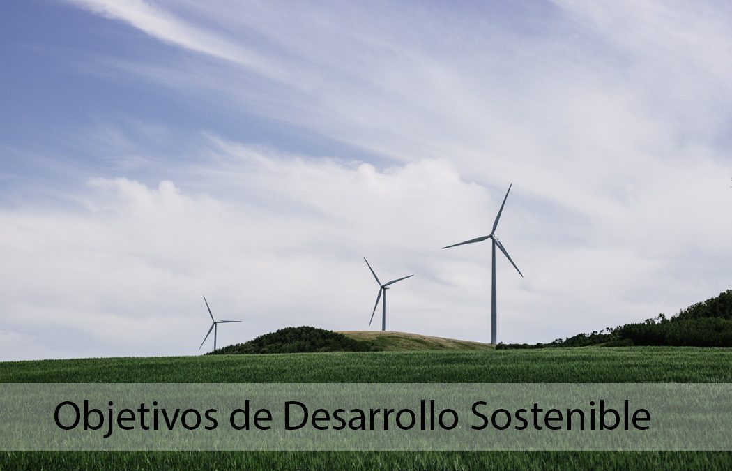 Objetivos de Desarrollo Sostenible