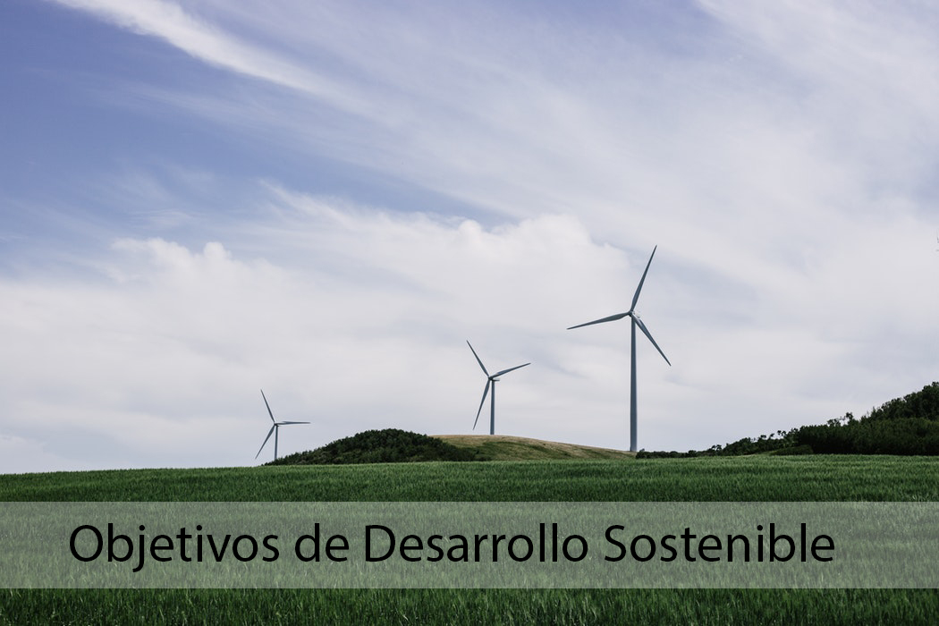 Objetivos de Desarrollo Sostenible