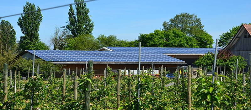 Autoconsumo fotovoltaico en explotaciones agrícolas y ganaderas. ¿Por qué deberías pasarte a las placas solares?