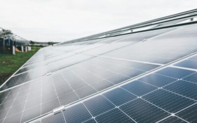 Reseñas y opiniones de los principales fabricantes de paneles solares