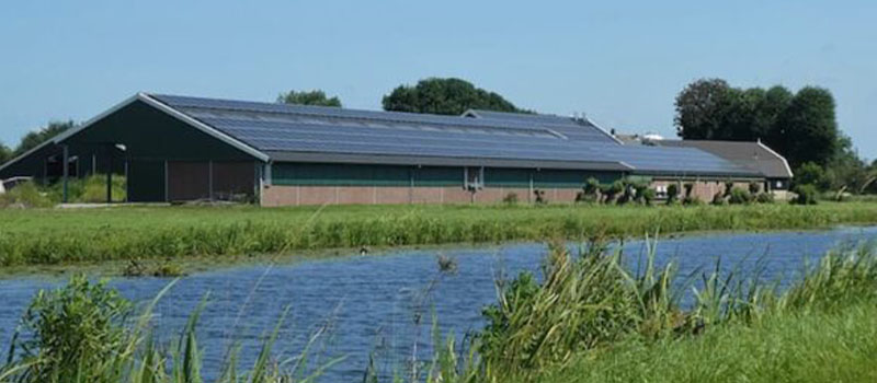 Bombeo solar: una alternativa económica para la extracción y distribución del agua